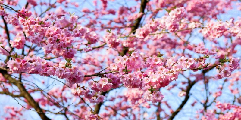 Karma Yoga | 11 Ways to Help Charities Without Breaking the Bank