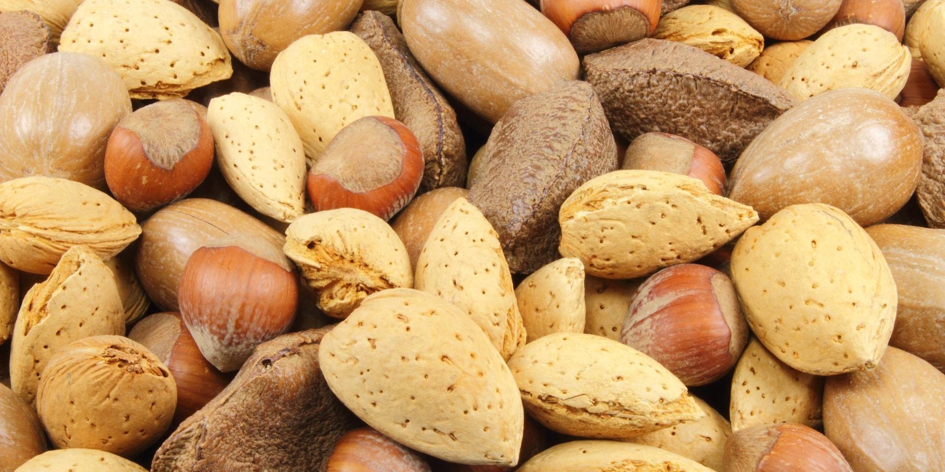 essential fatty acids essential fatty acids