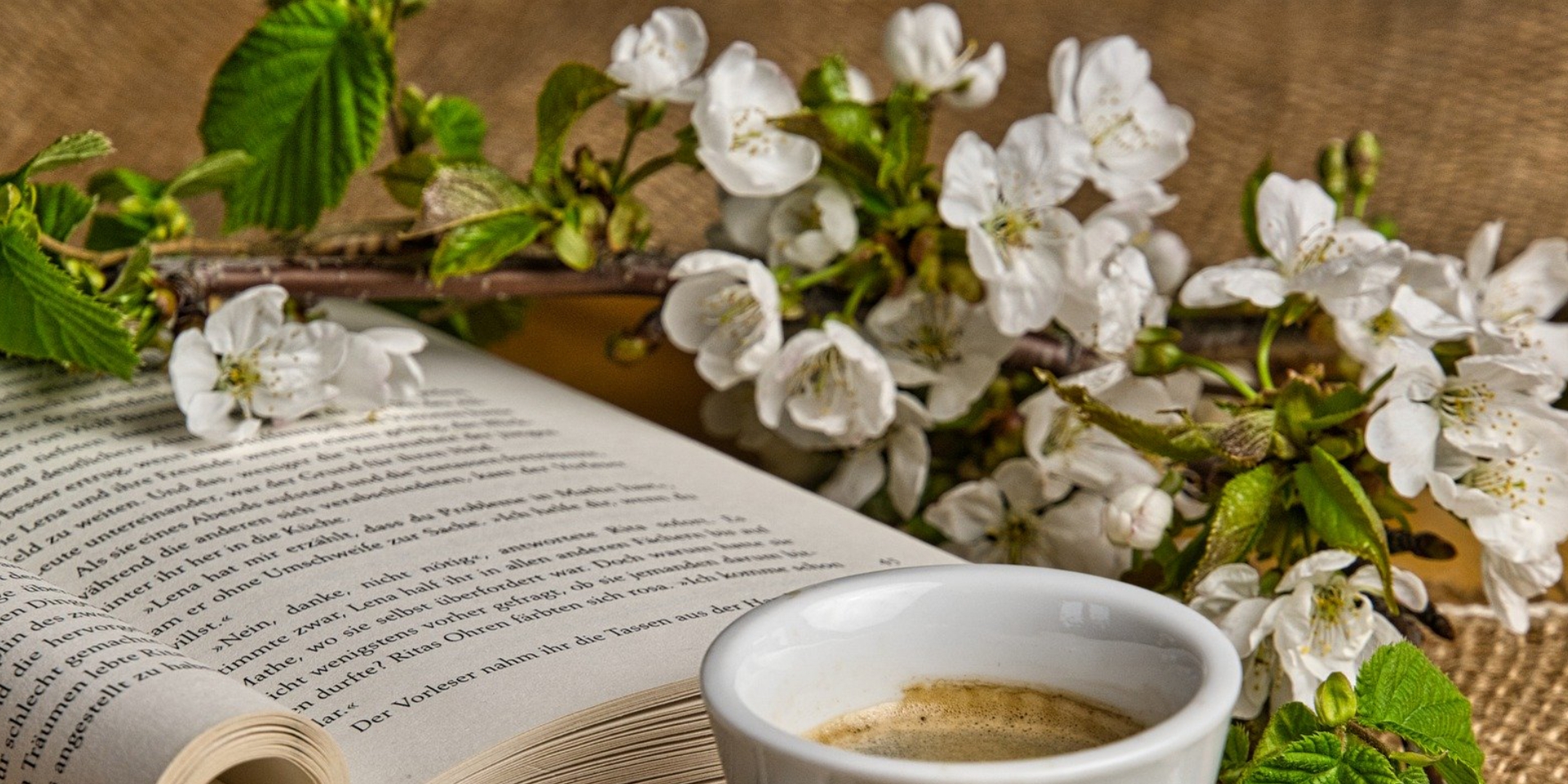 books for planner addicts books for planner addicts